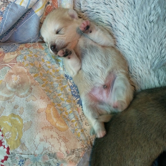 Meet your Posher, Johana - Picture 2 of 2